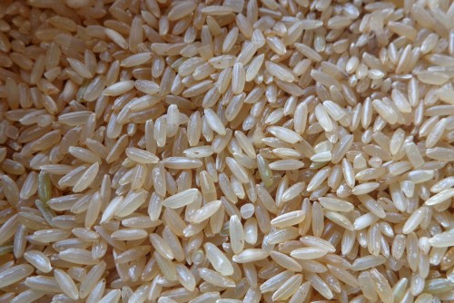 Rice Farming Information Guide | Asia Farming