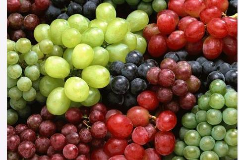 Different Colours of Grapes