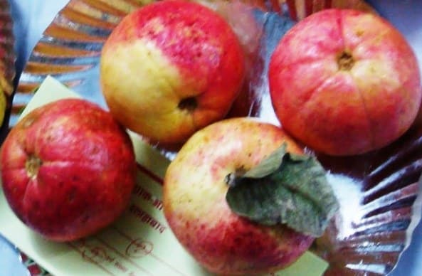 Apple Guava Variety.