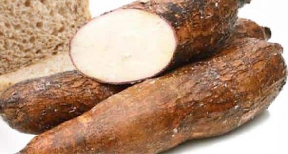 Cassava Health Benefits.