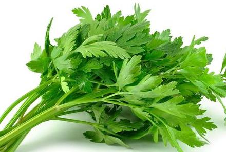 Celery Health Benefits.