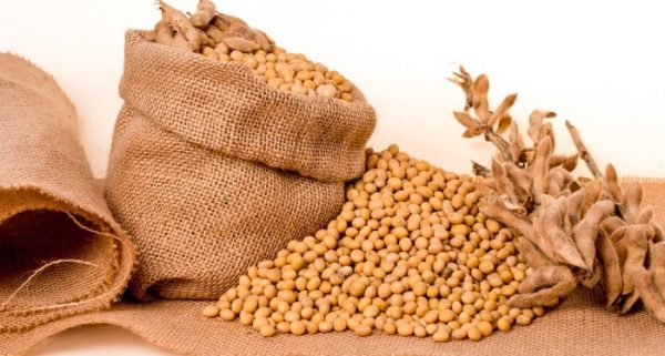 Soya Beans Health Benefits.
