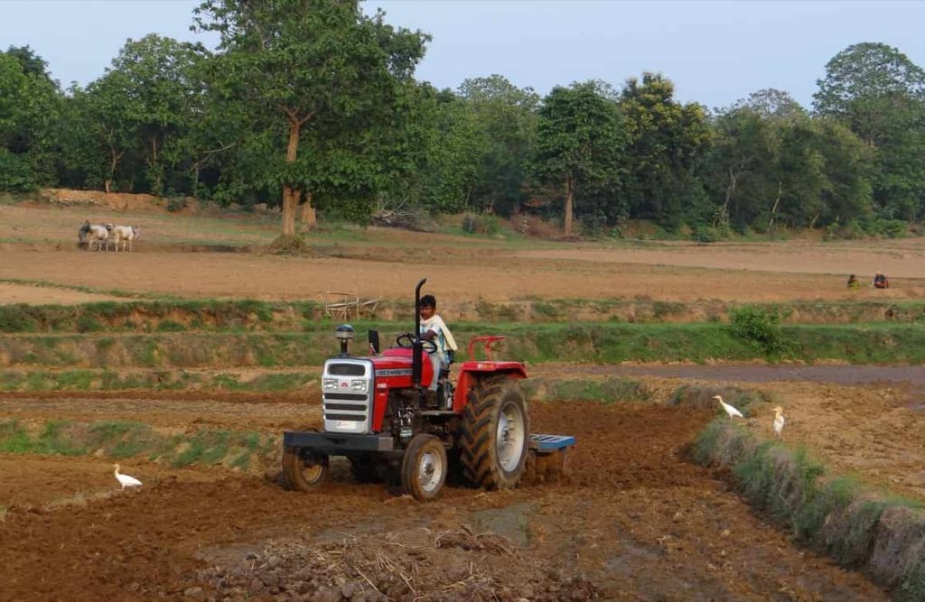 Cultivating using Tractor
