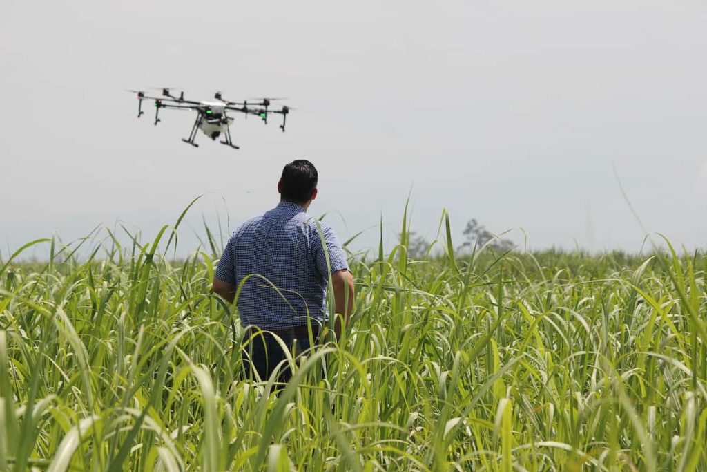 Precision drone agriculture