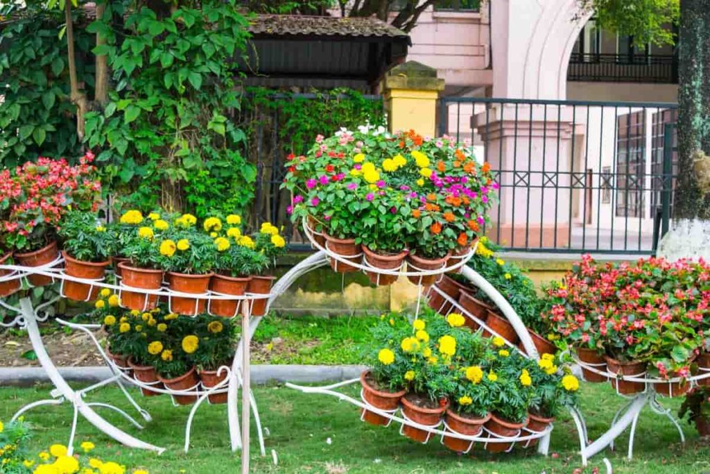 Flower Pot Garden