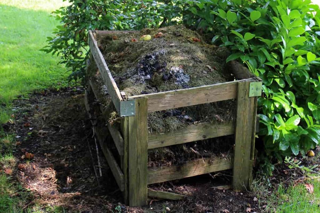 How to Compost Kitchen Waste with Worms