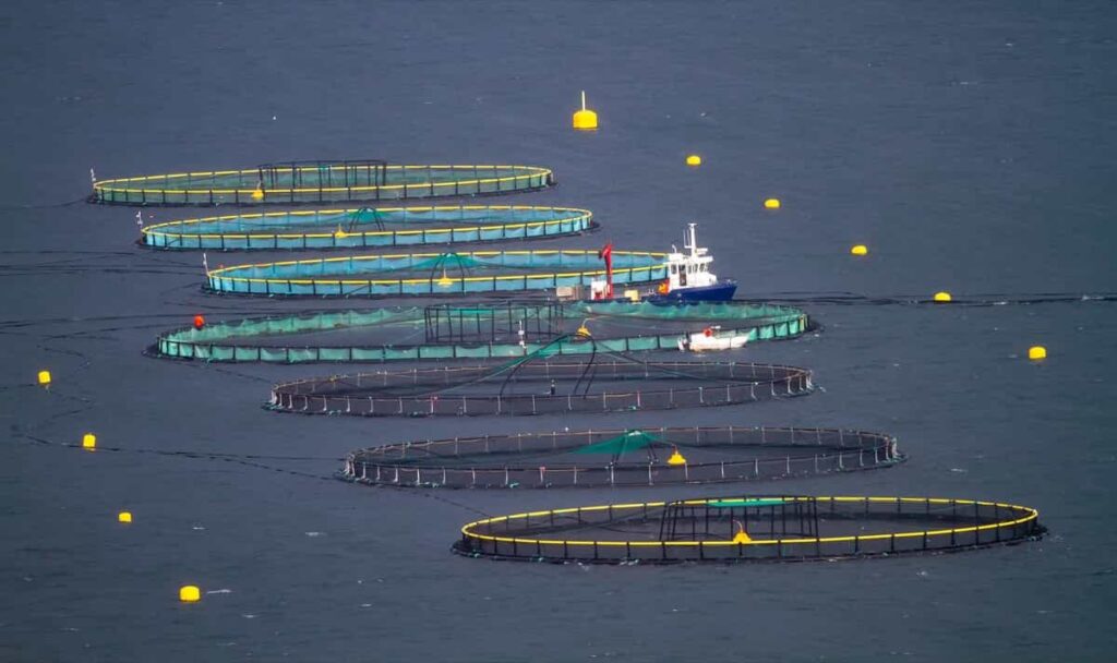 Aquaculture in the USA