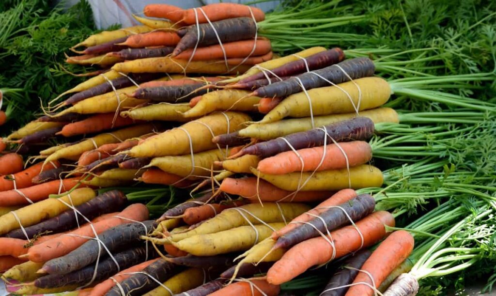 Carrot verities/Types