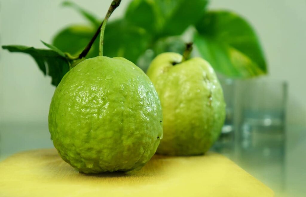 Hybrid Guava
