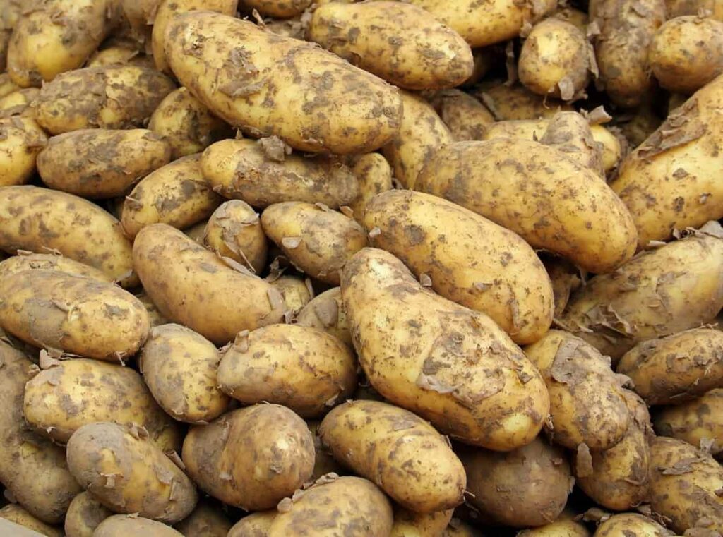 Potato Market