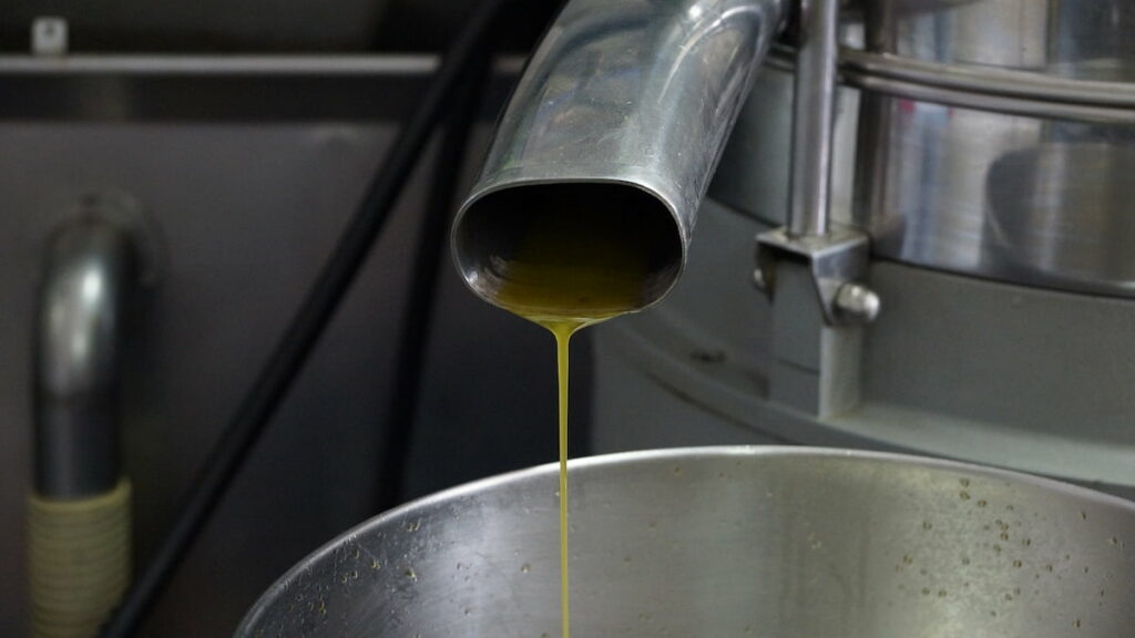 Olive Oil Production