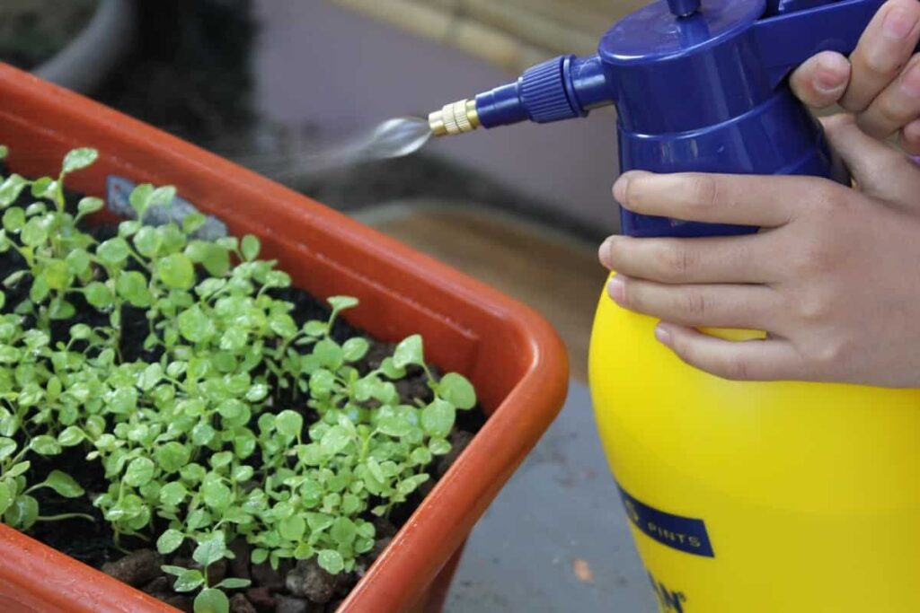 Water Sprayer for Garden Plants