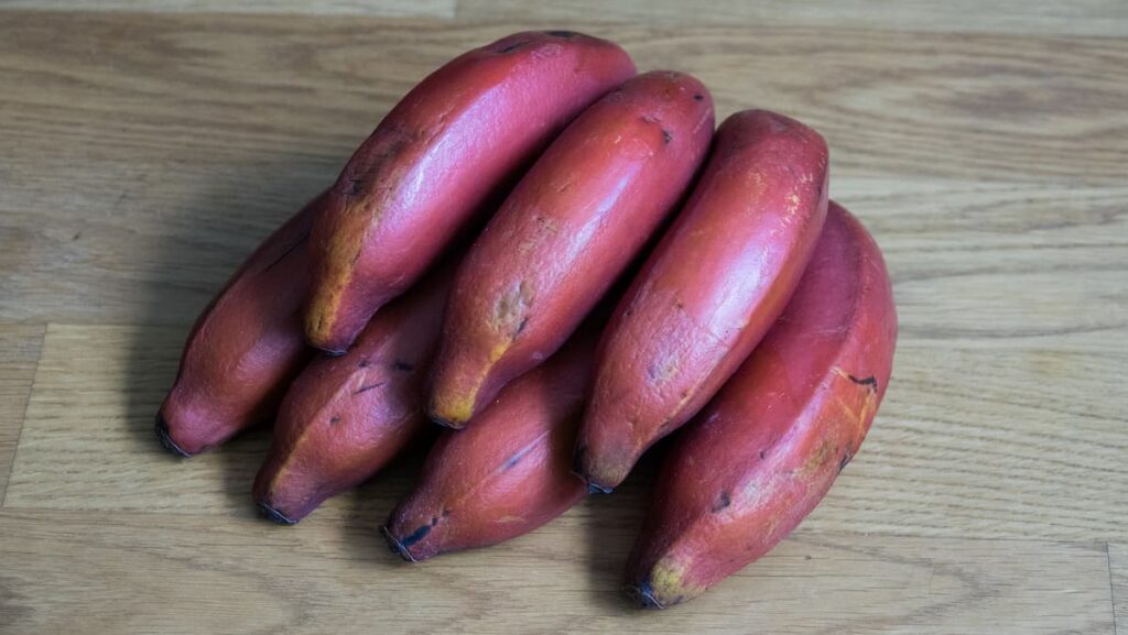 Red Banana Farming in India