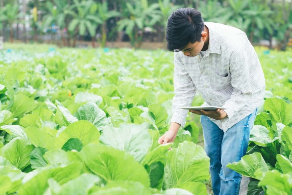 Smart farming techniques
