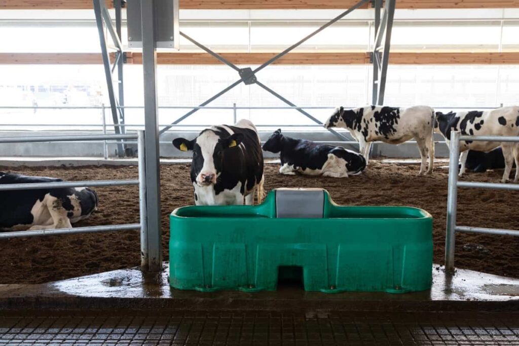 High Tech Dairy Farm