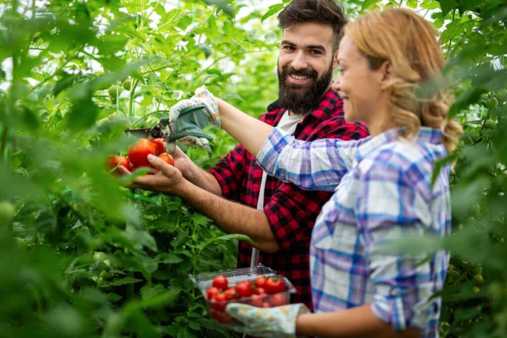 Sustainable Fruit Farming