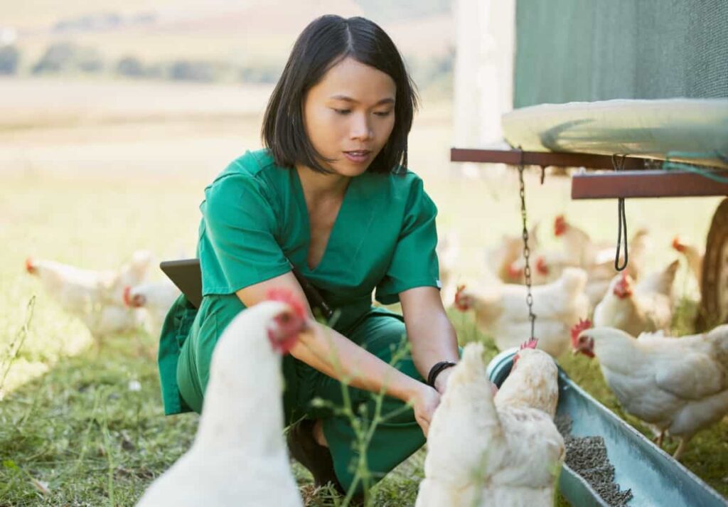 Sustainable Poultry Farming