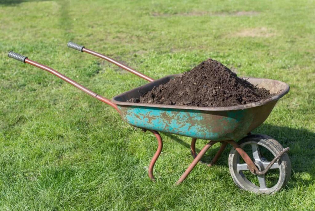 Best Organic Fertilizers to Feed Plants: Compost