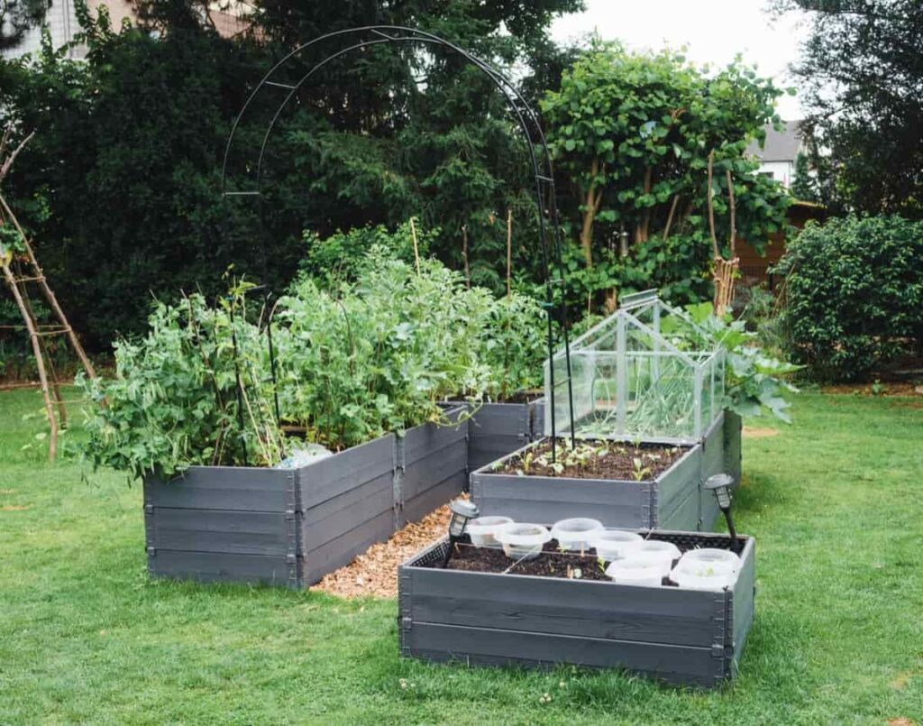 Simple Raised Bed Garden 