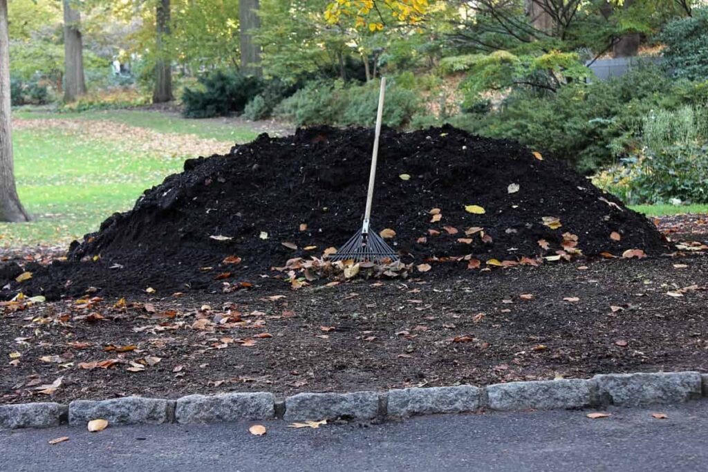  Compost Pile