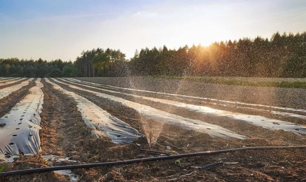 Irrigation for Farm