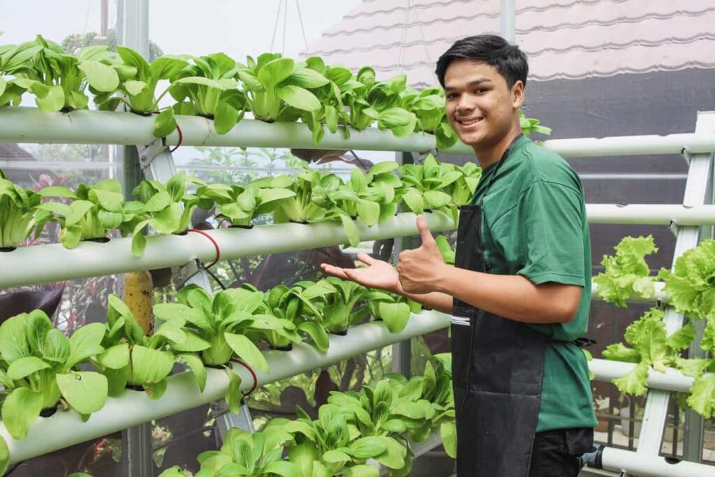How to Grow Bok Choy Hydroponically