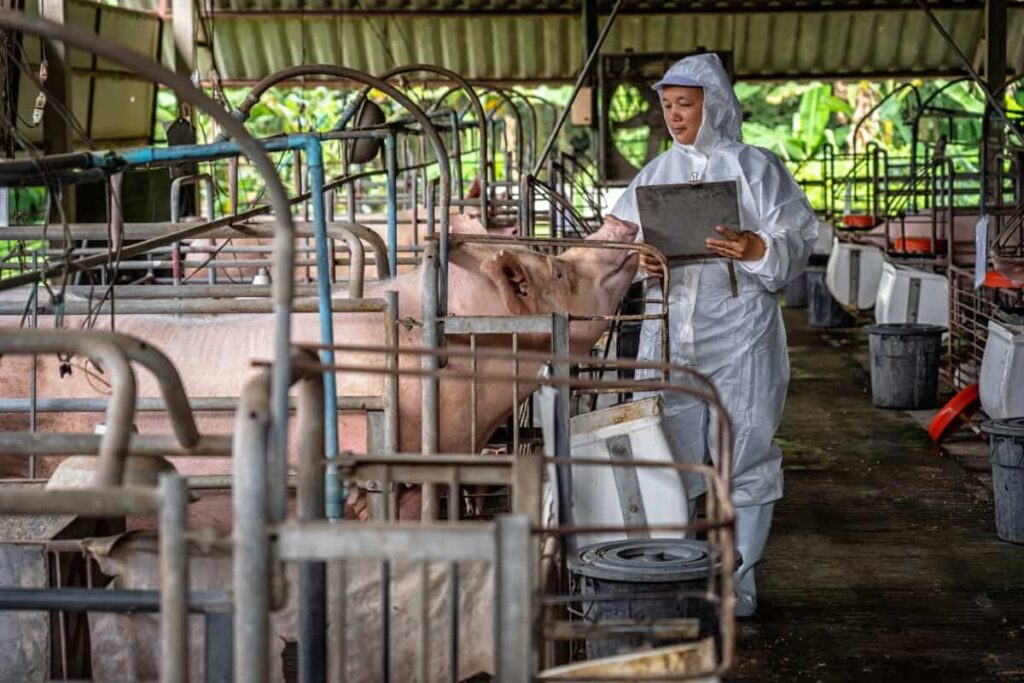 Pig Farming Project Report