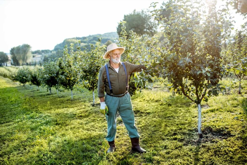 Apple Farming Management