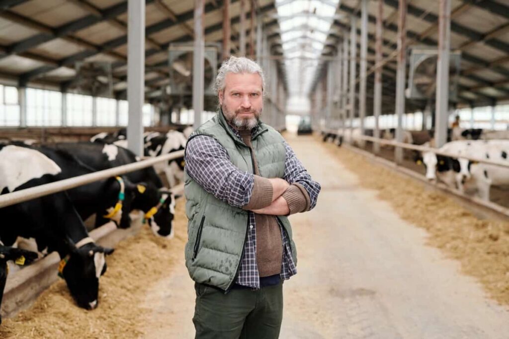 Dairy Farm Operations 