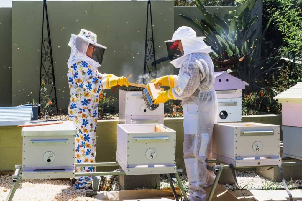 Honeybee Management