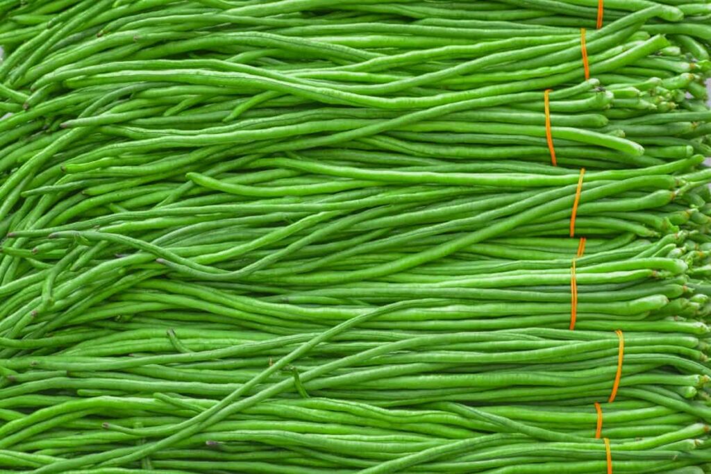 Bunches of Yardlong Beans