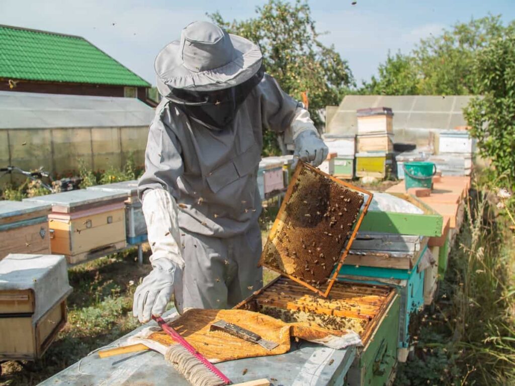 Best Beekeeping Suits for Men and Women