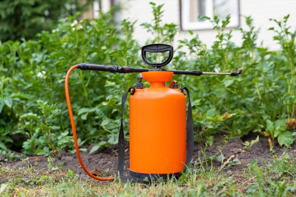 Best Garden Sprayers for Your Home Garden