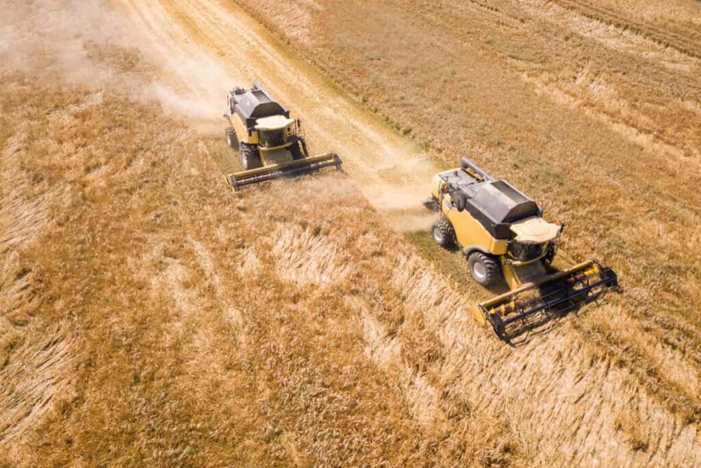  combine harvesters harvesting large yellow ripe wheat field