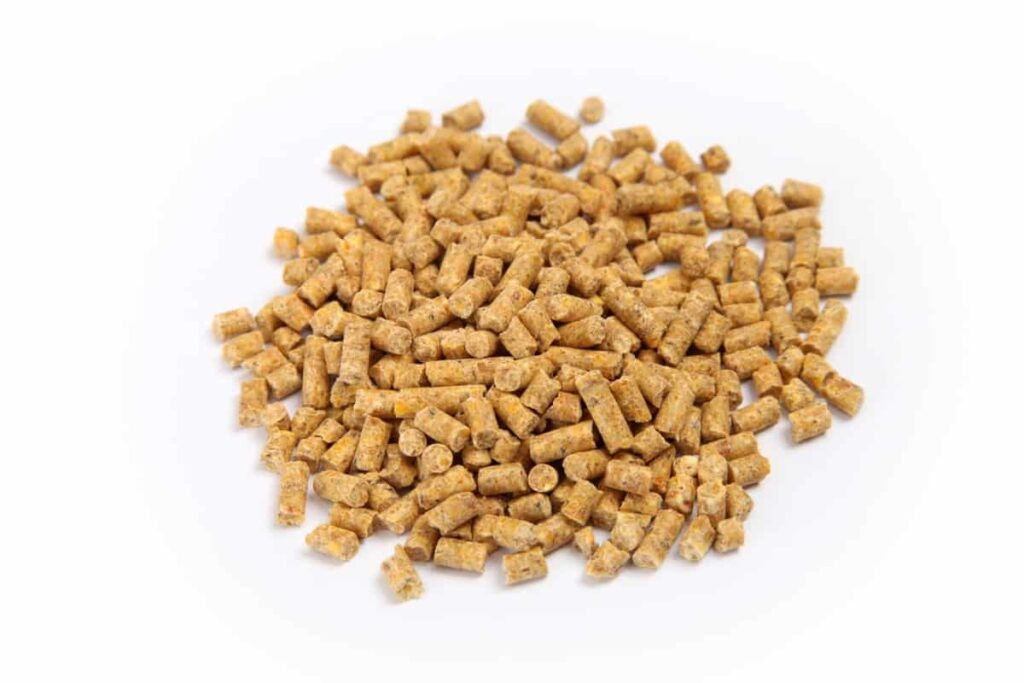 compound feed pellets