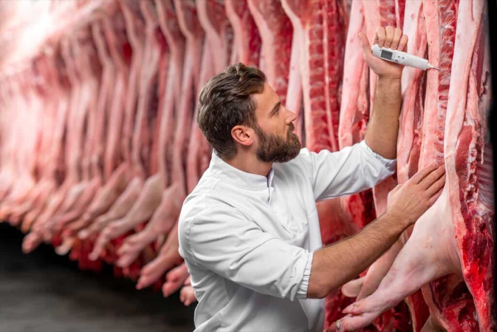measuring pork meat temprature
