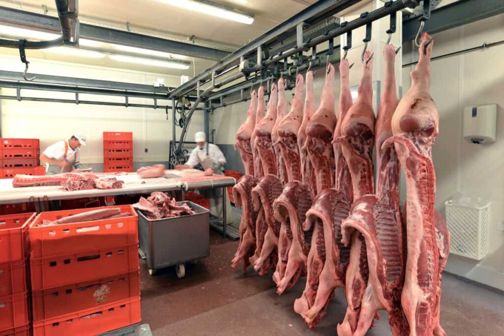 cold storage for meat storage