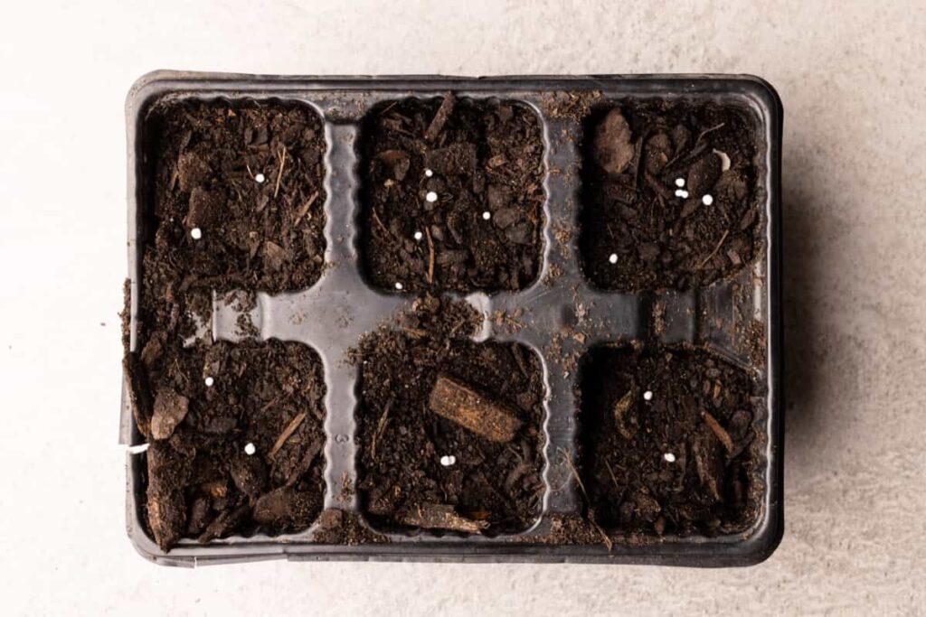 Seedling tray filled with dark soil with bark pieces and fertiliser
