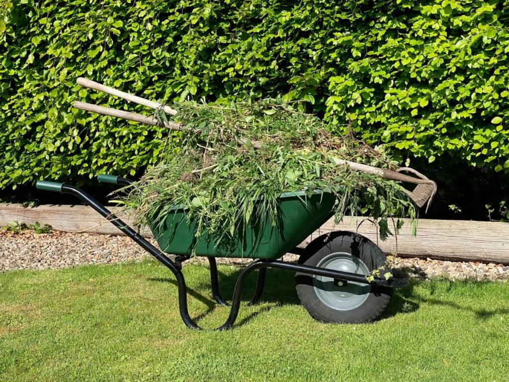 wheelbarrow with weeds