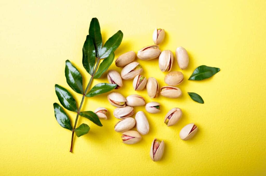 Pistachios with leaves