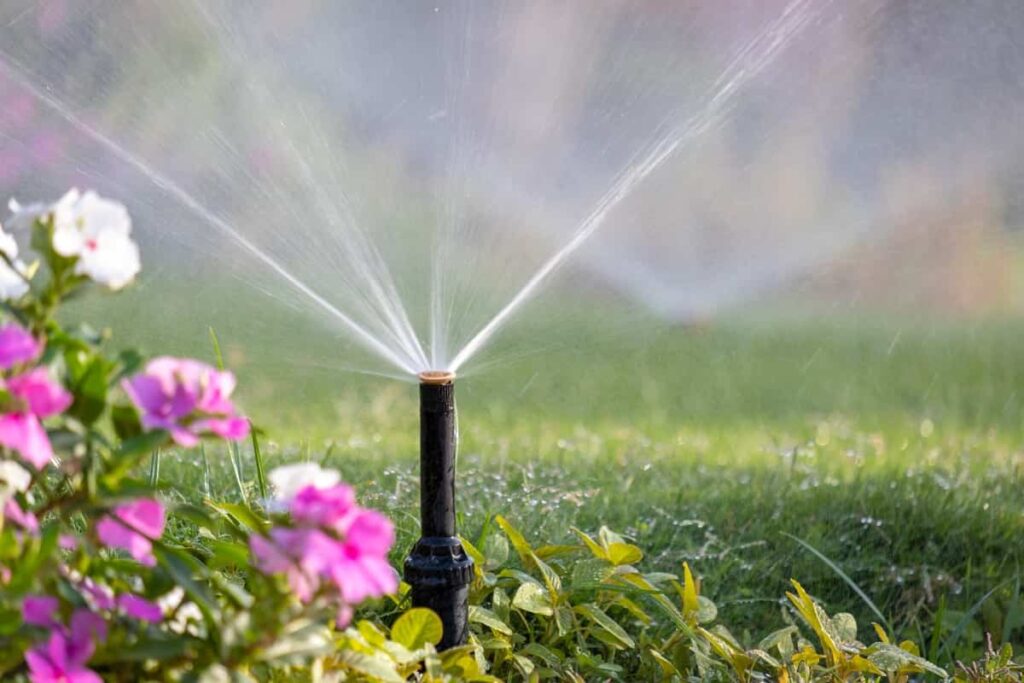 Plastic sprinkler irrigating flower bed on grass