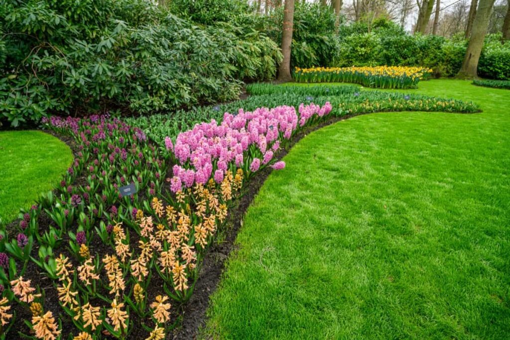 Zone-wise Landscaping Ideas in the United States