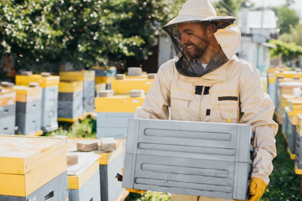 beekeeper works to collect honey