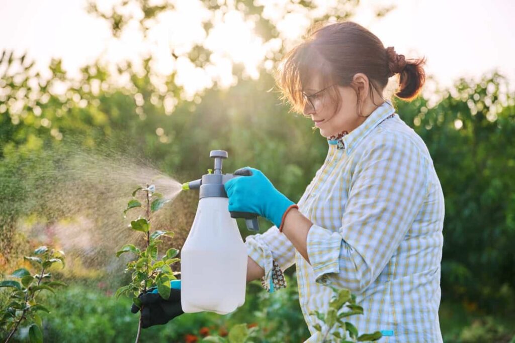Best Natural Garden Pest Repellents
