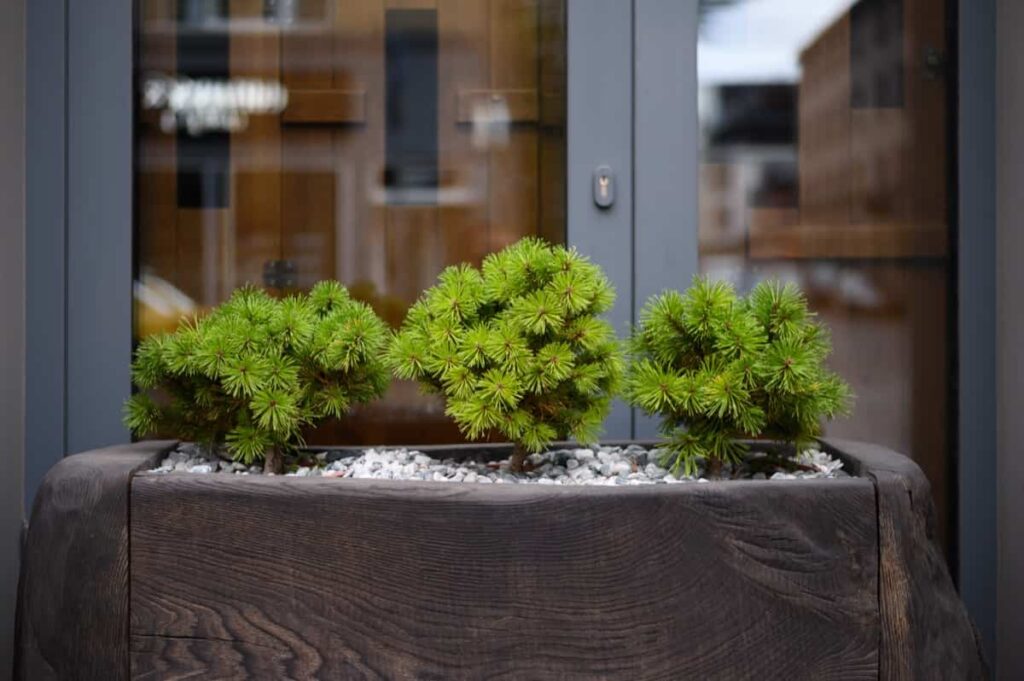 Window decoration with natural wooden flower pots