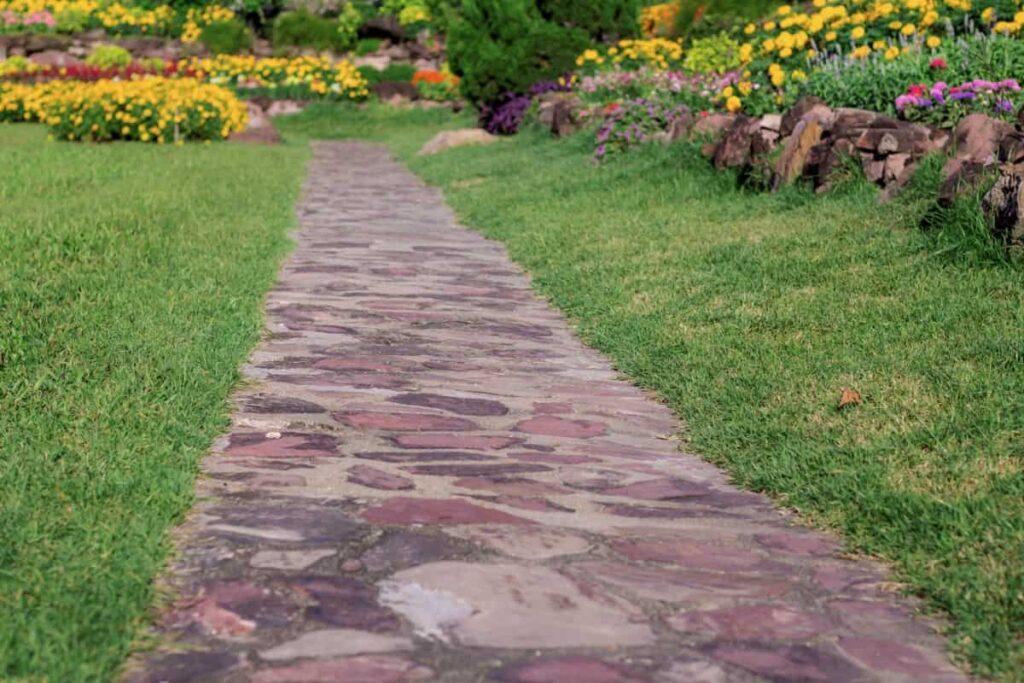 Pathway in garden