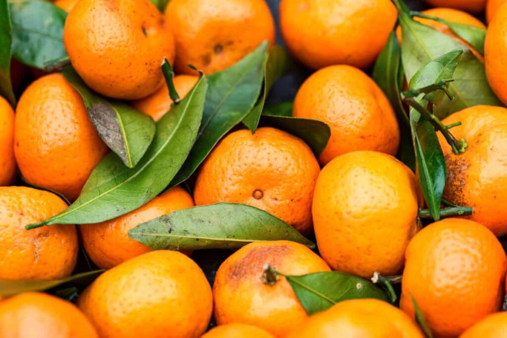 Mandarine orange or tangerine 