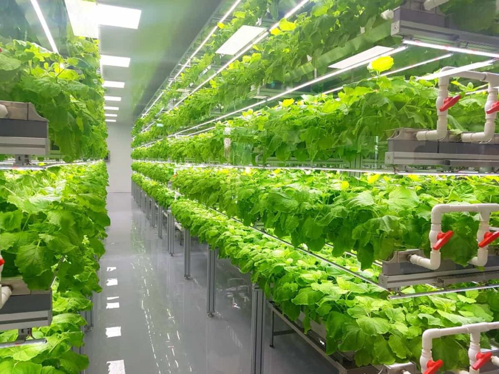 Technology in Vertical Farming