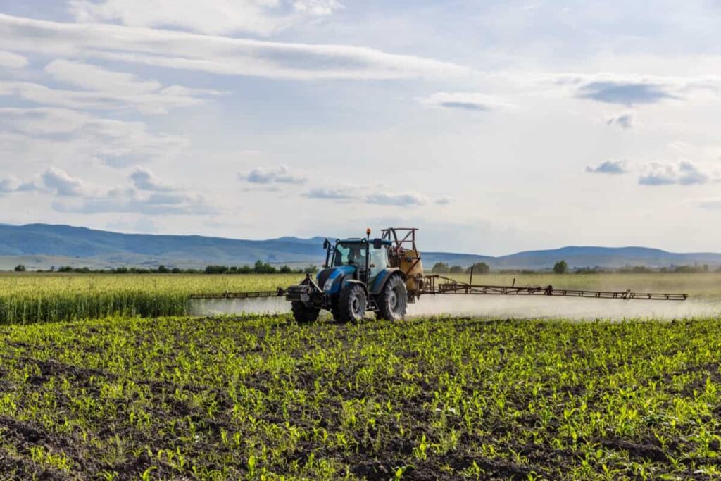 Tractor spraying fertilizer on corn field