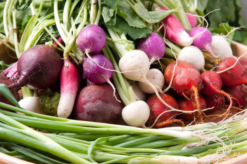 radishes, beets and turnip